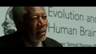Man in suit with Evolution whiteboard — Lucy